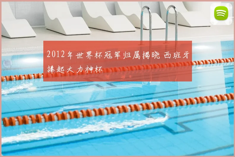 2012年世界杯冠军归属揭晓 西班牙捧起大力神杯