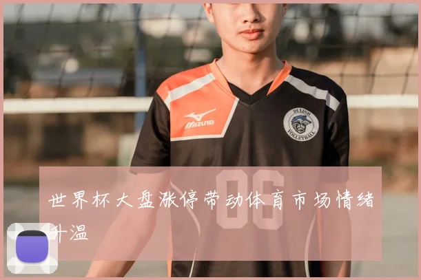 世界杯大盘涨停带动体育市场情绪升温