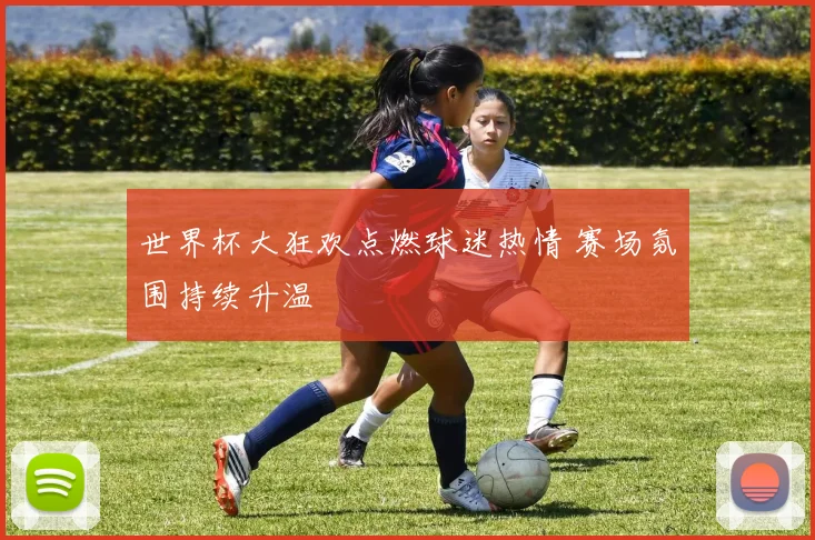 世界杯大狂欢点燃球迷热情 赛场氛围持续升温