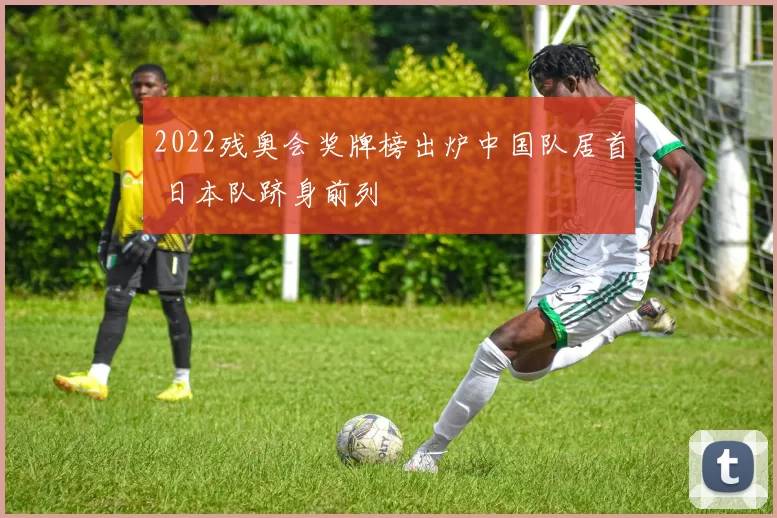 2022残奥会奖牌榜出炉中国队居首 日本队跻身前列