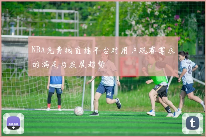 NBA免费线直播平台对用户观赛需求的满足与发展趋势